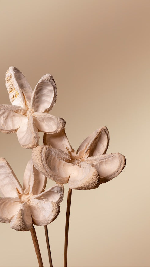 Bullet Flower - Set of 5