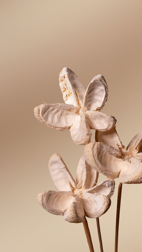 Bullet Flower - Set of 5