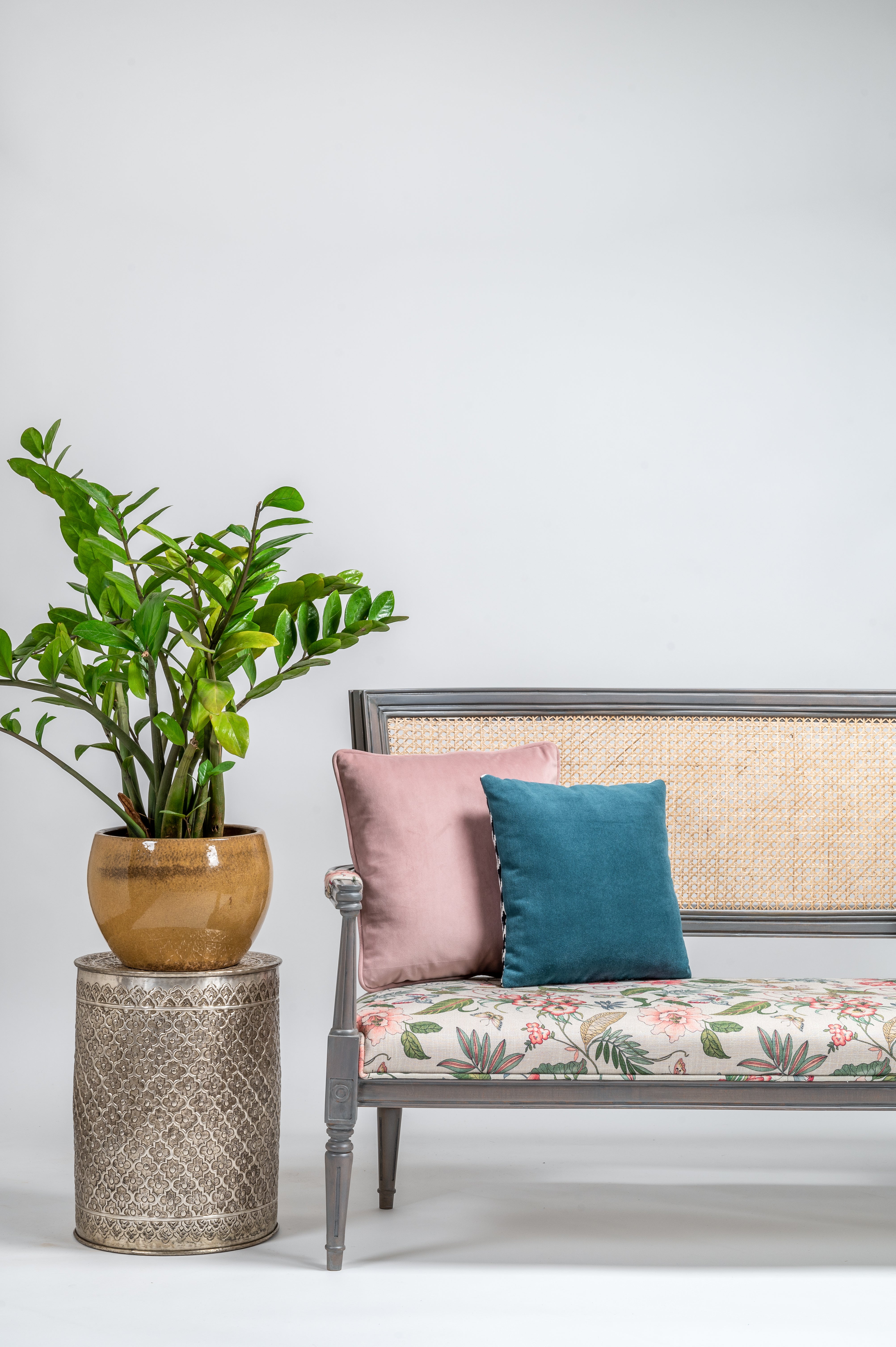 Decorative plant on a small table next to a floral-patterned bench with colorful cushions.
