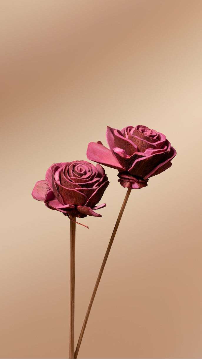 Muse Bouquet