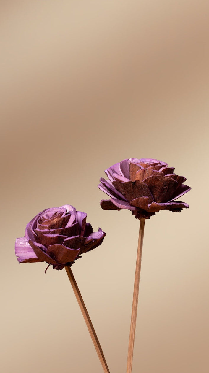 Muse Bouquet
