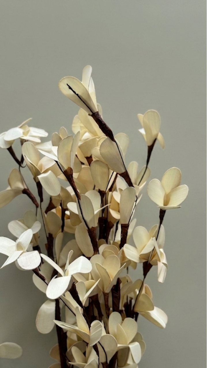 Rud Stick - Set of 6