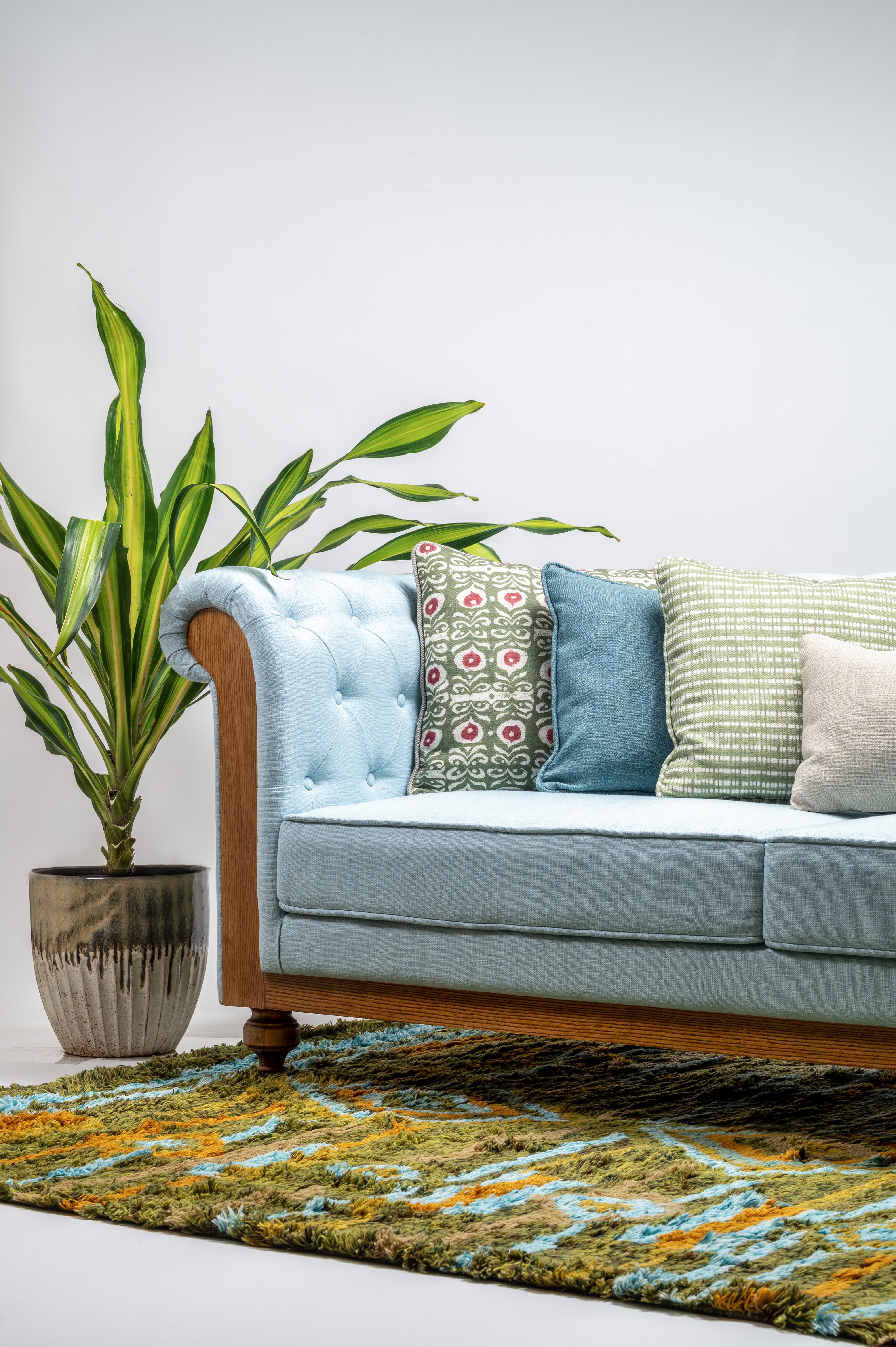 Light blue sofa with decorative pillows next to a potted plant on a white wall background