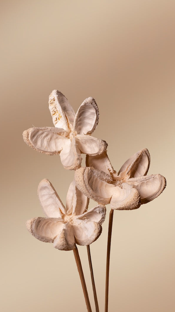 Bullet Flower - Set of 5