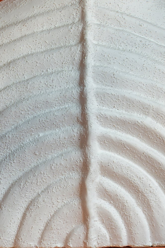 Franny Terracota Vase