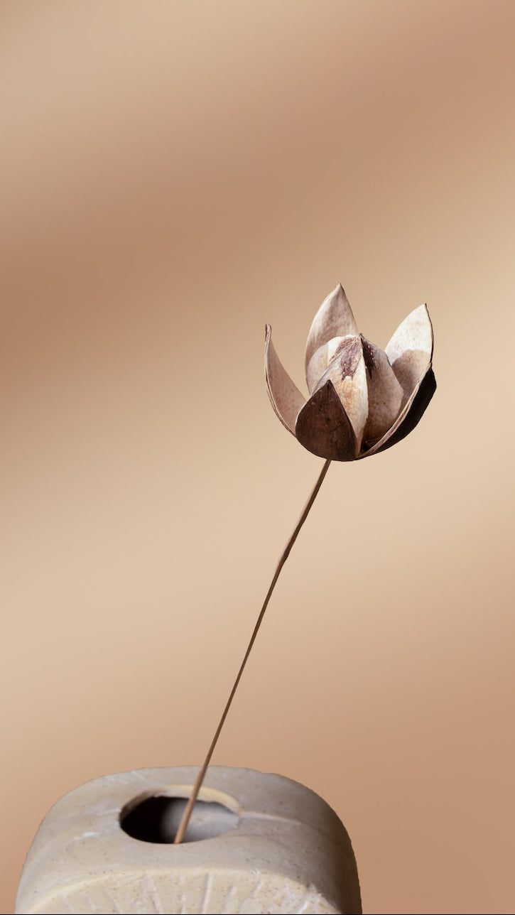 Lily - Set of 10