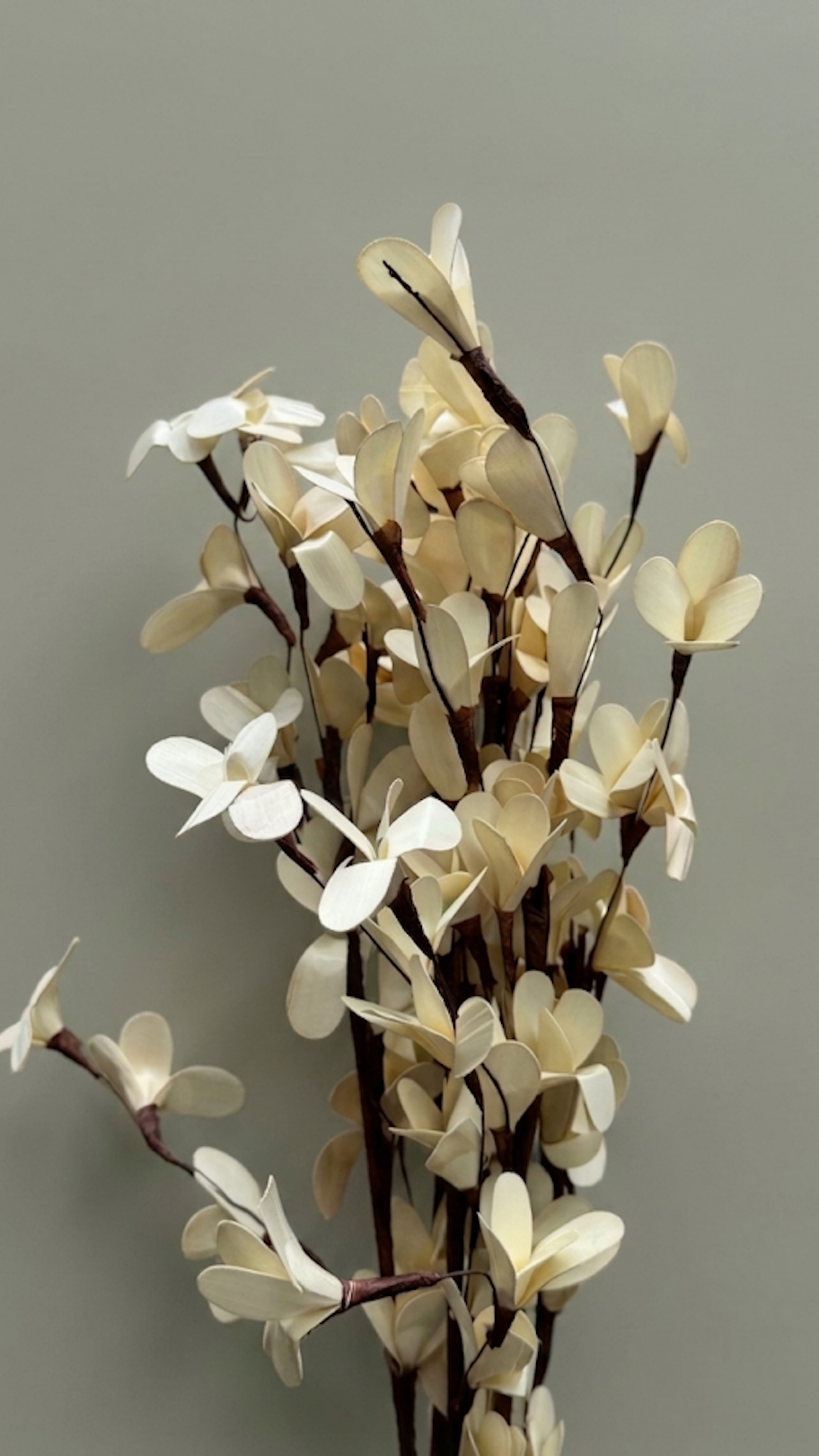 Rud Stick - Set of 6